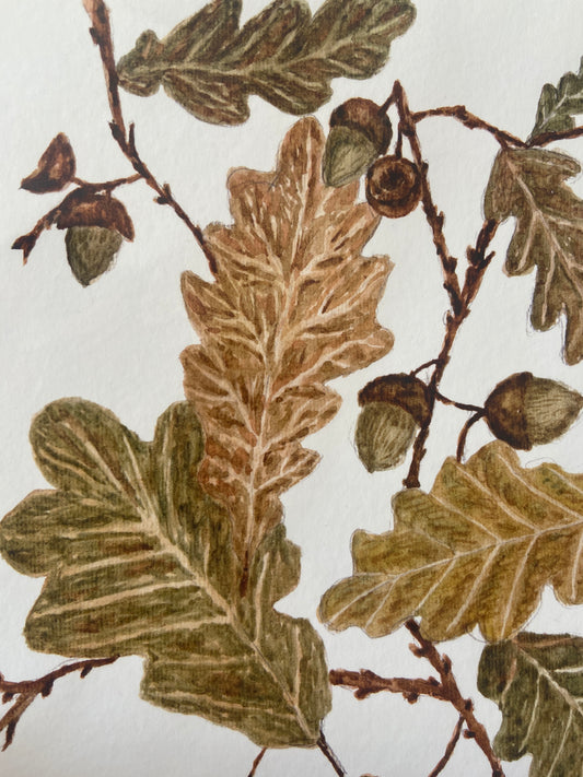 Oak