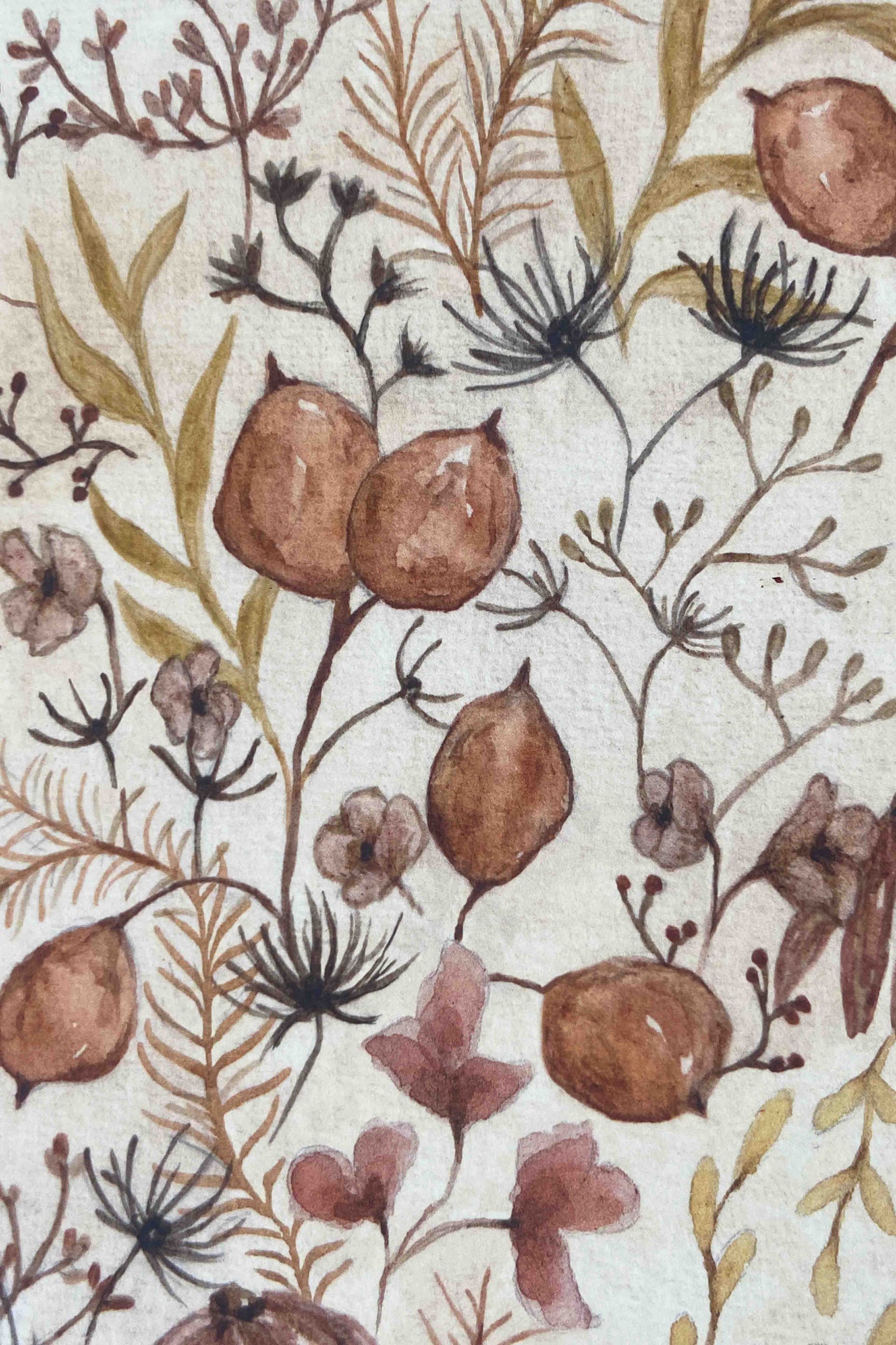 Pinkie grasses