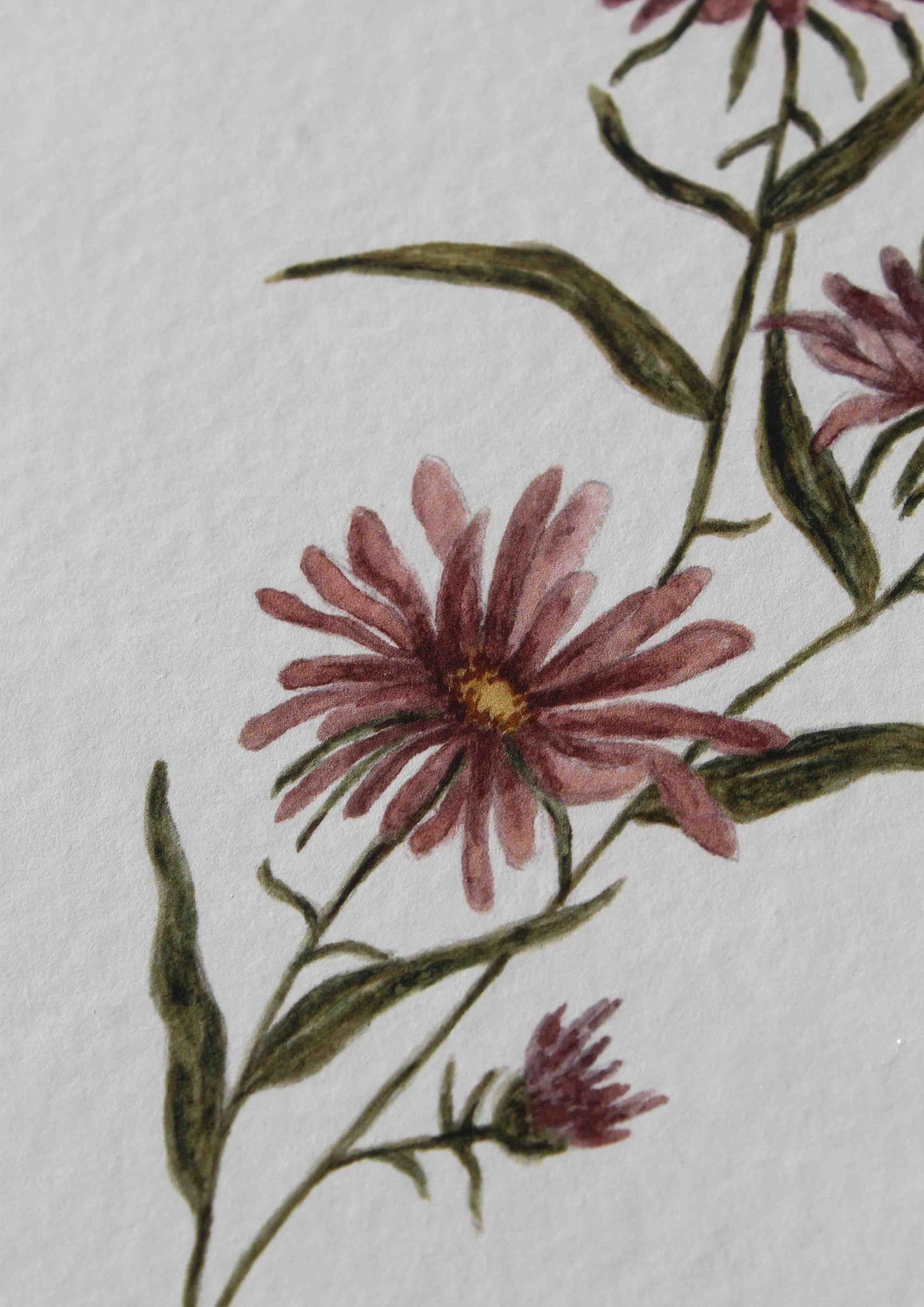 Personalised Birth Flower Print