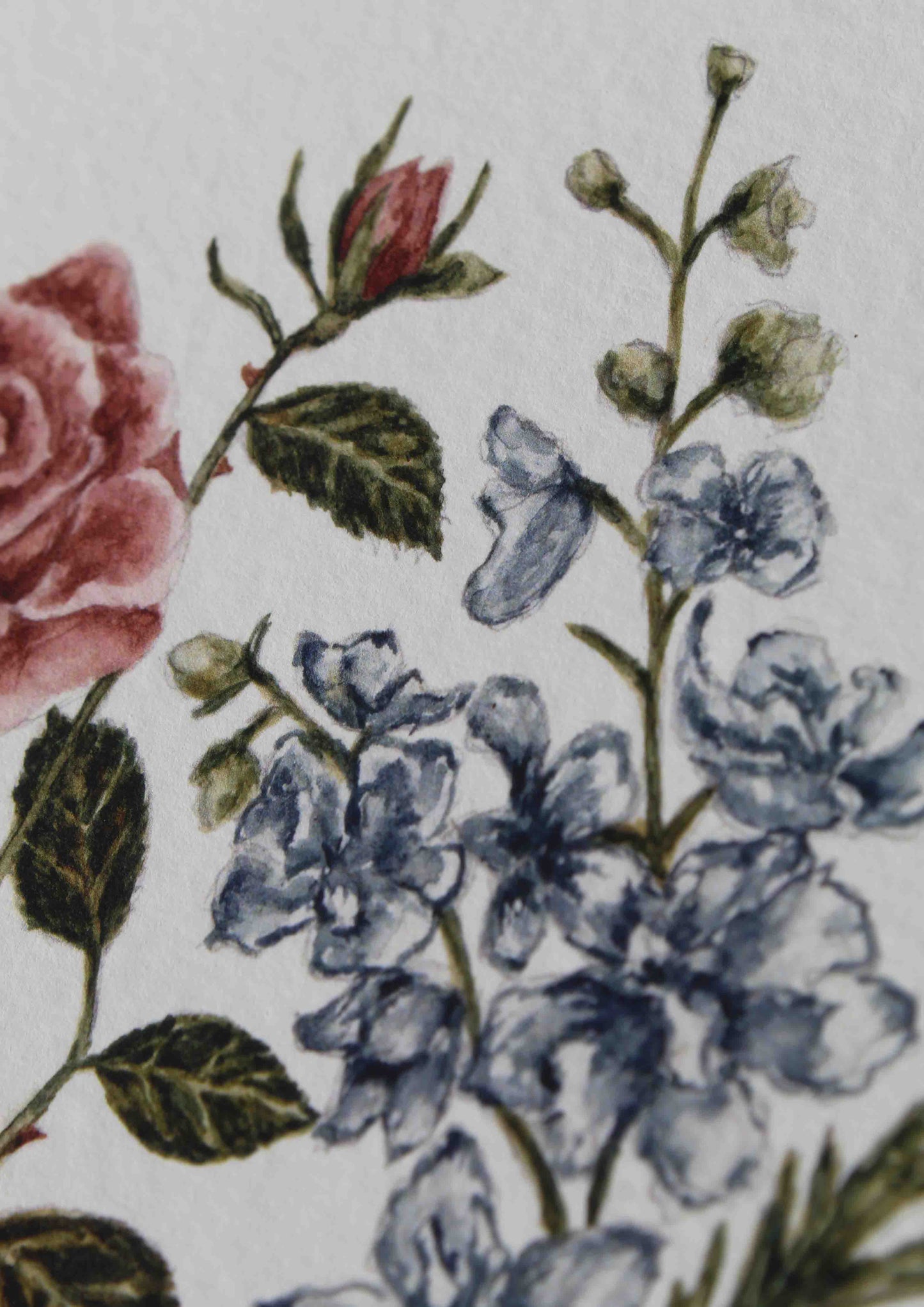 Personalised Birth Flower Print