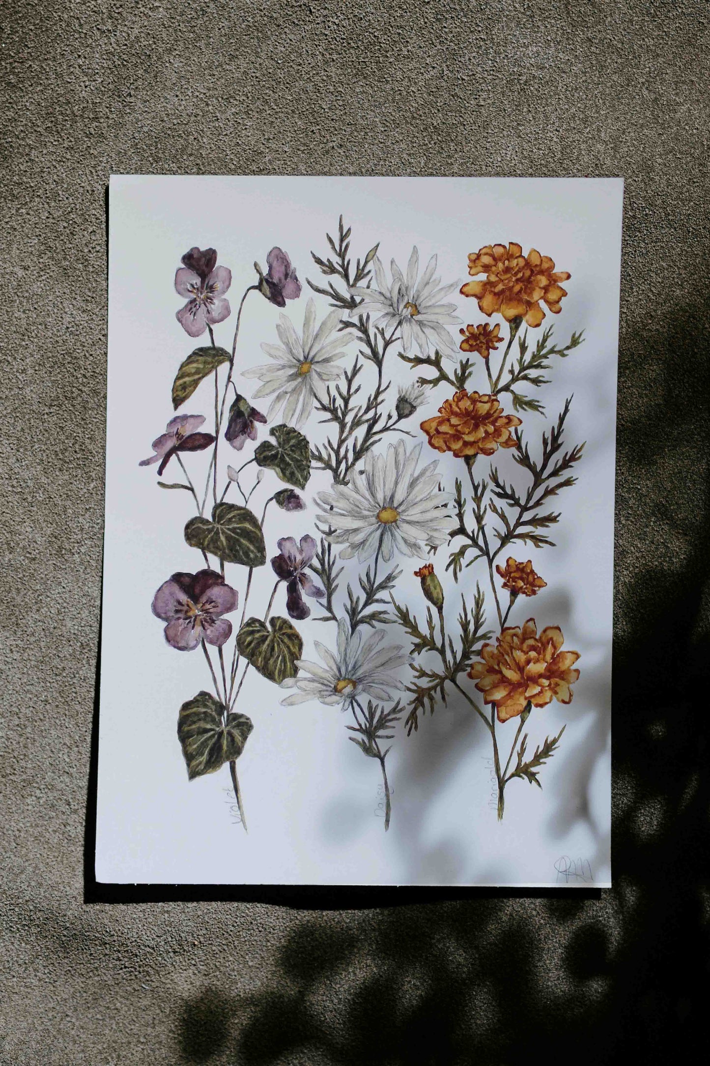 Personalised Birth Flower Print