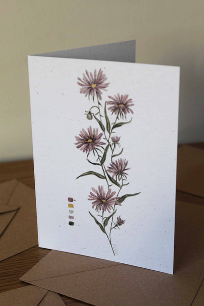 Aster greeting card - September birth flower