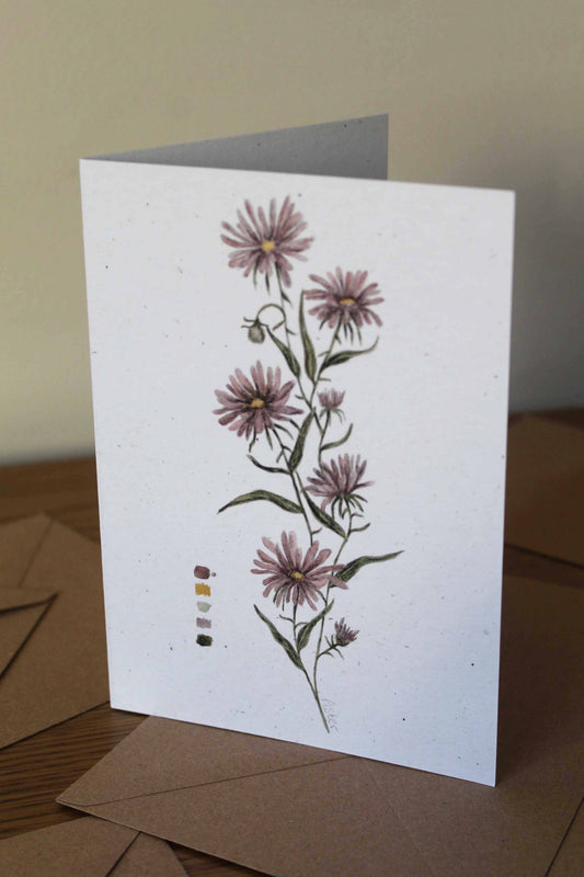 Aster greeting card - September birth flower