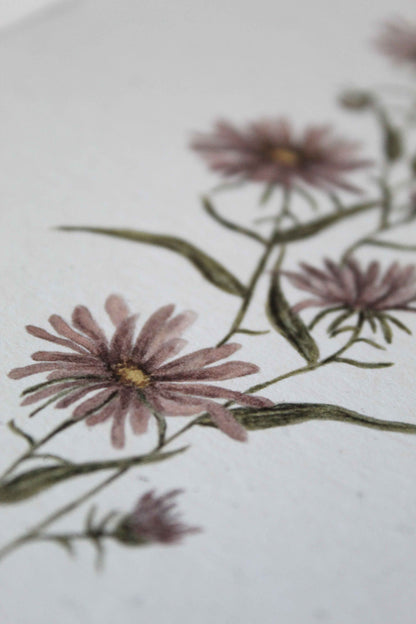 Aster greeting card - September birth flower