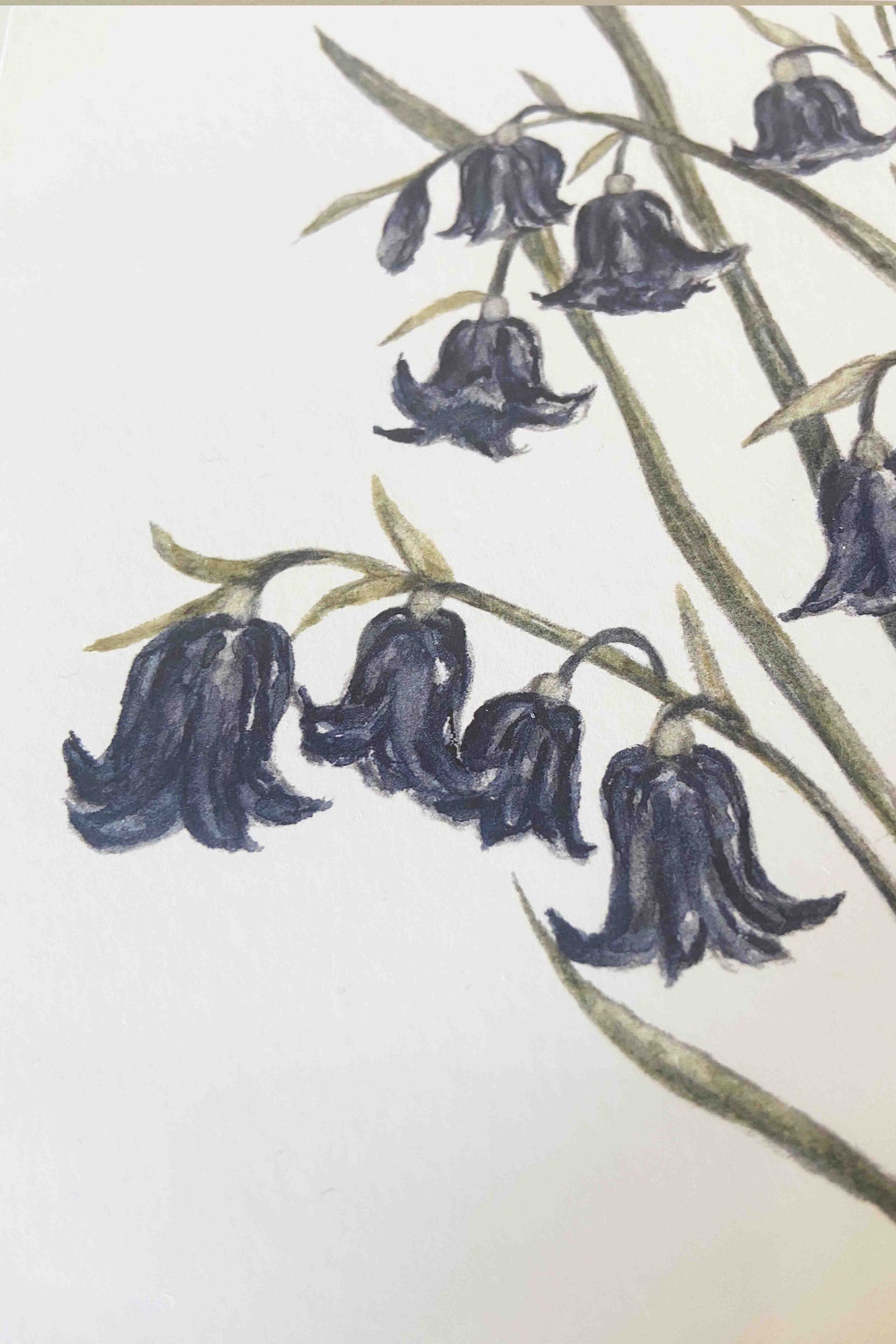 Blue bells