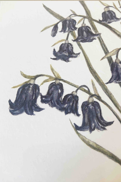 Blue bells
