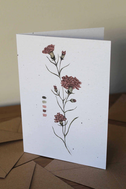 Carnation greeting card -January birth flower