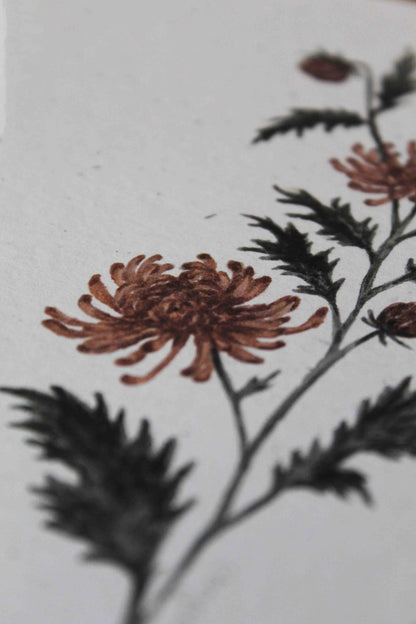 chrysanthemum greeting card - November birth flower