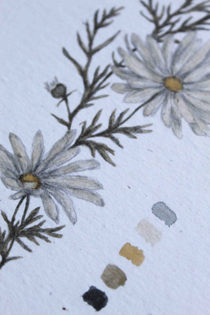 Daisy greeting card -April birth flower