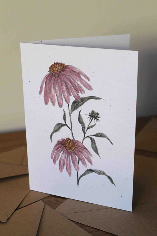 Echinacea- greeting card