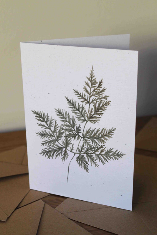 Fern- greeting card