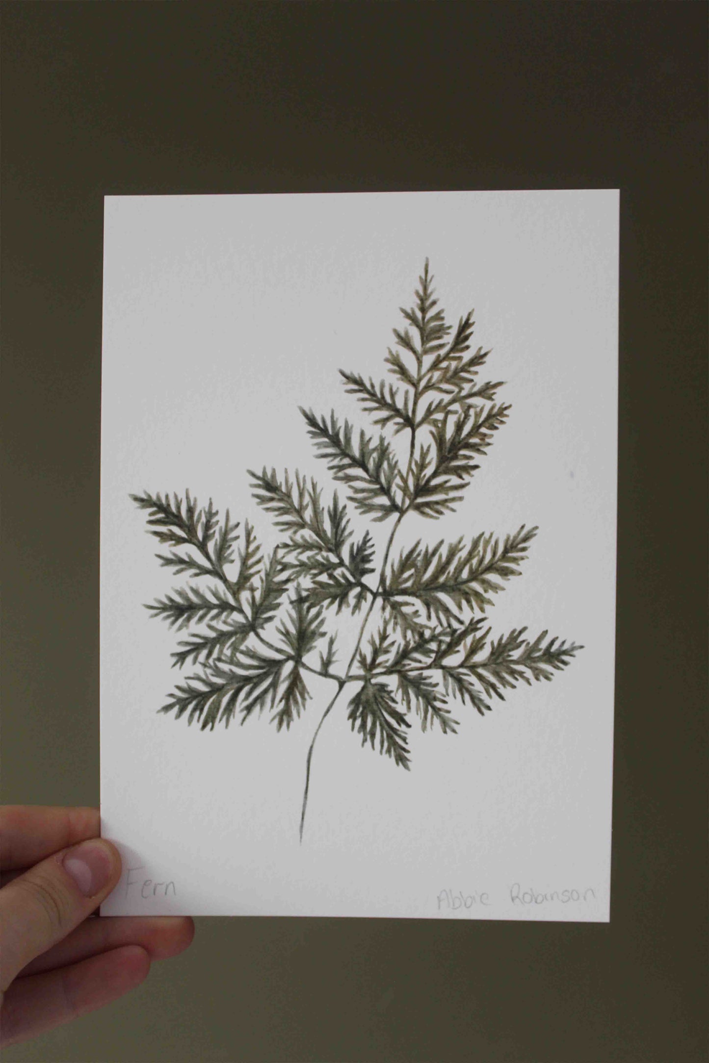 Fern