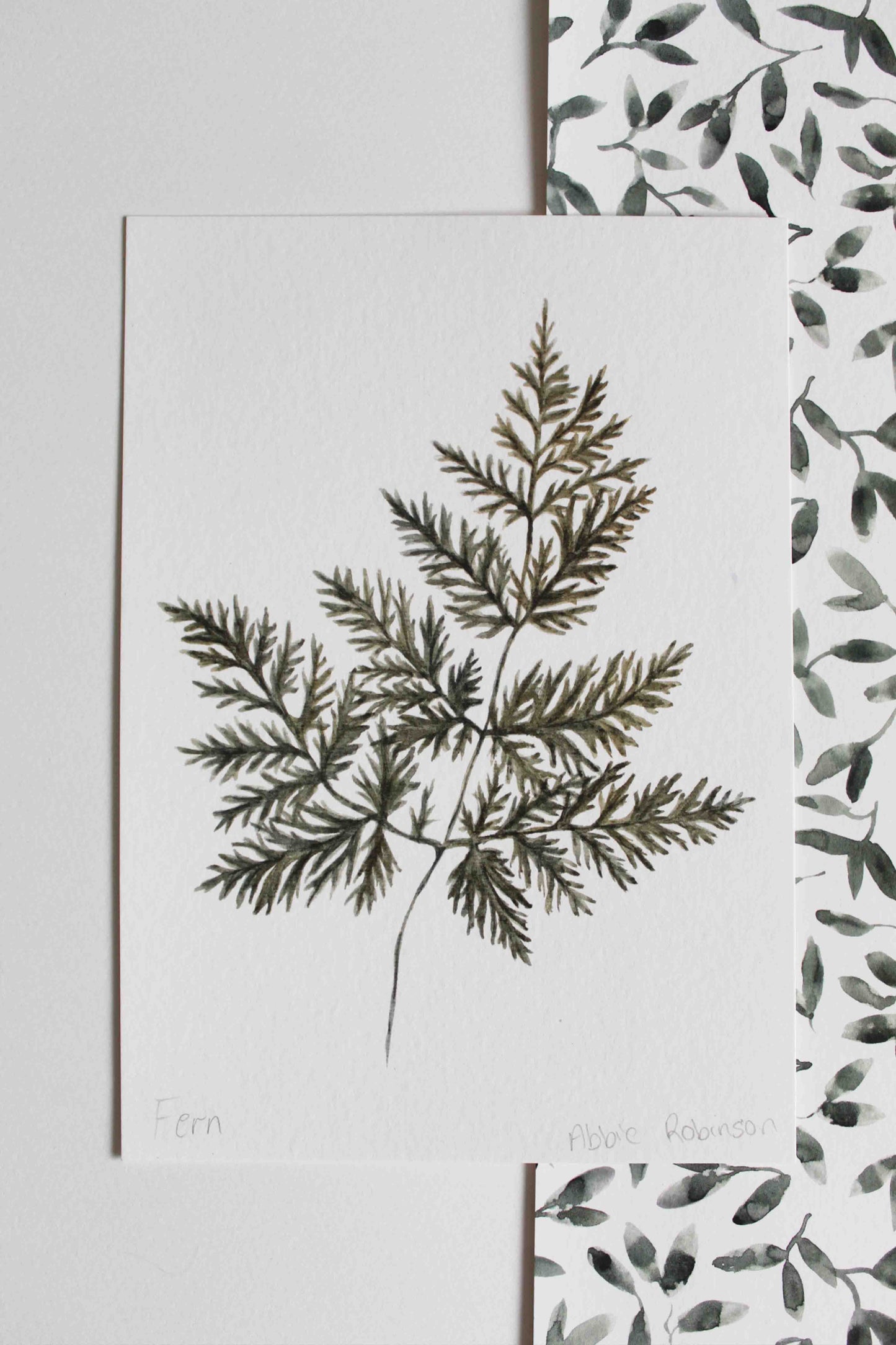 Fern