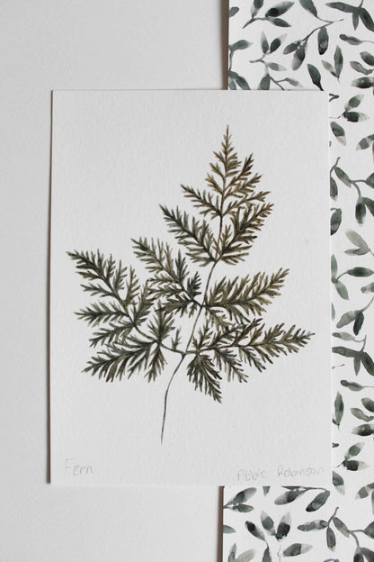 Fern