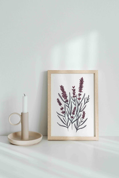 lavender