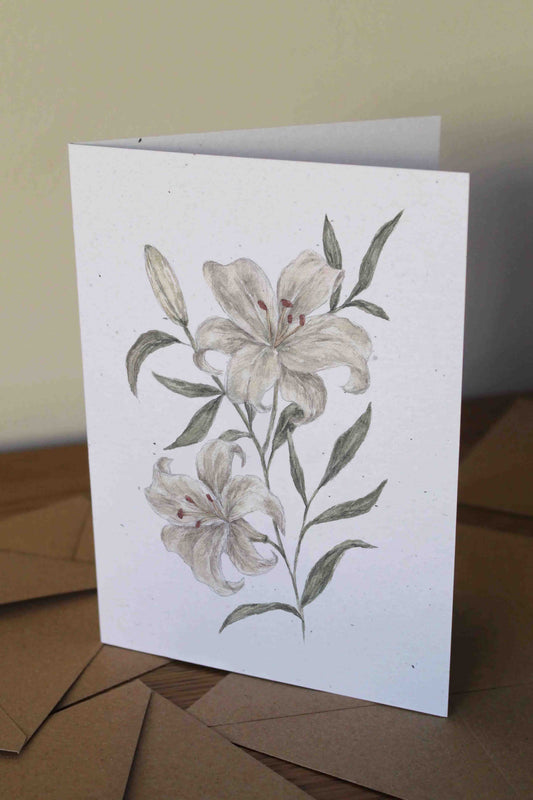 White lily- greeting card