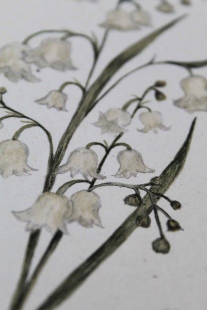 lily of the valley greeting card - May birth flower