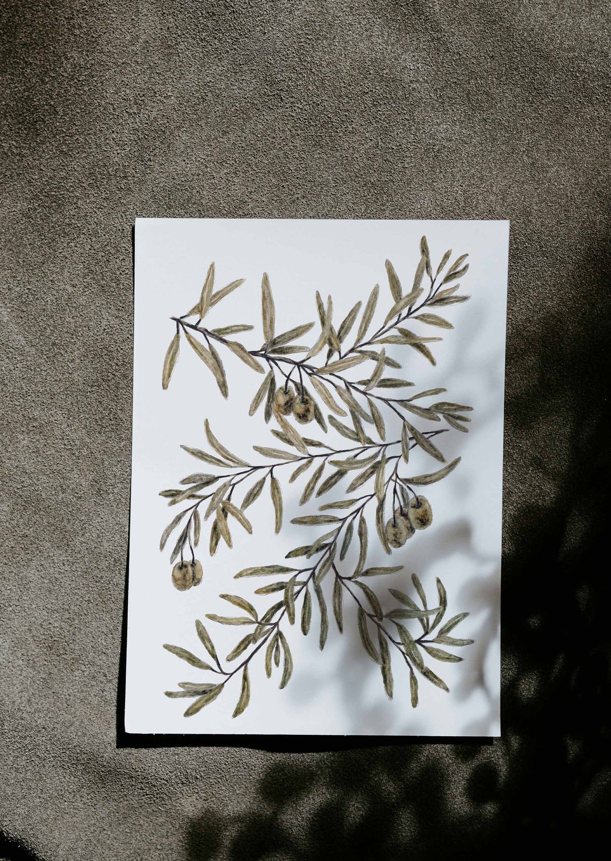 Olive