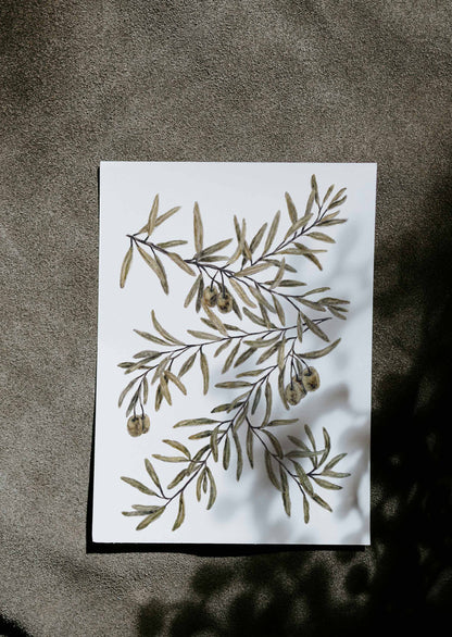 Olive