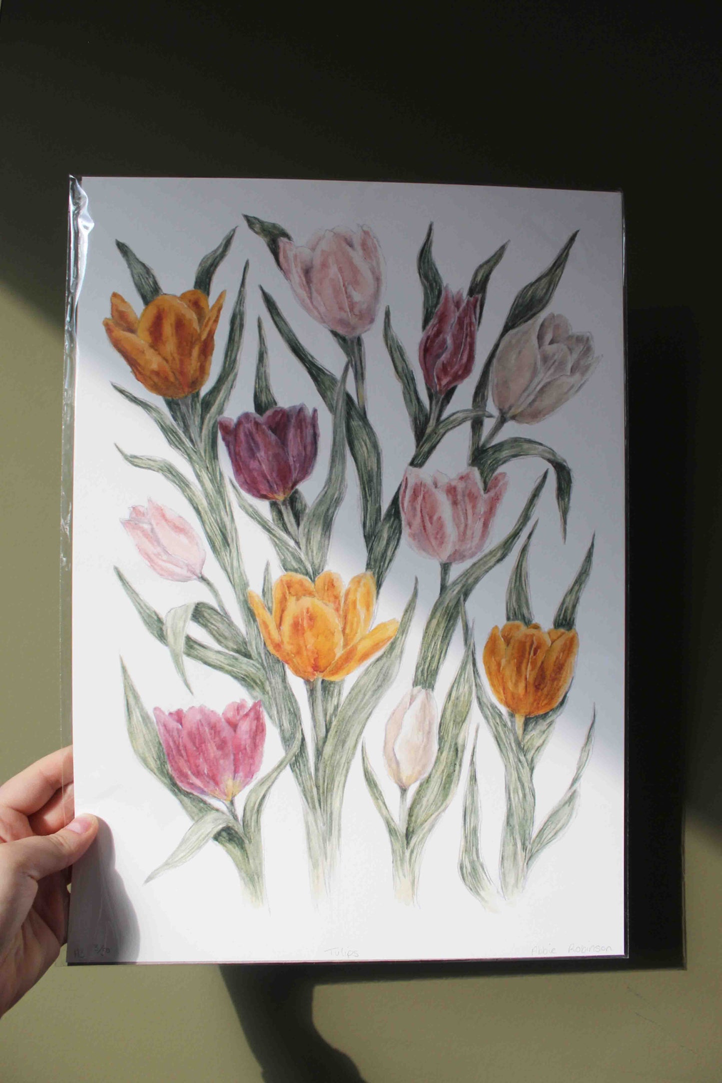 Tulips