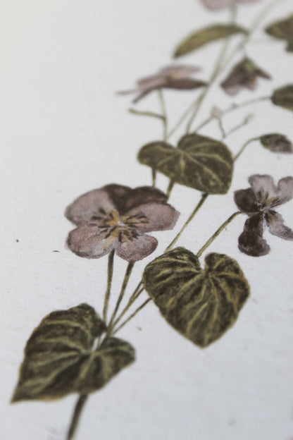 Violet greeting card -February birth flower