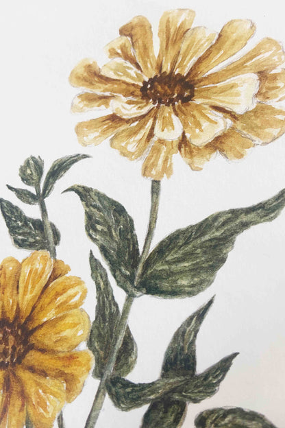 Zinnia