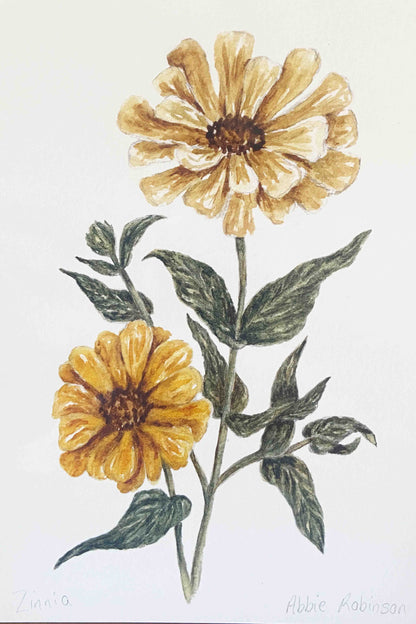 Zinnia
