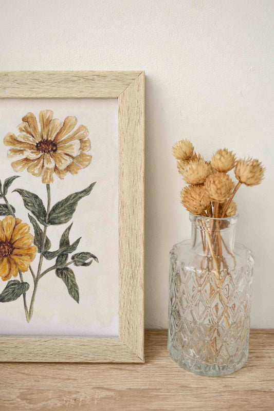 Zinnia